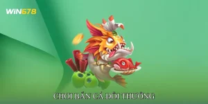 Chơi Bắn Cá Đổi Thưởng Tích Lũy Xu Và Phần Thưởng Giá Trị