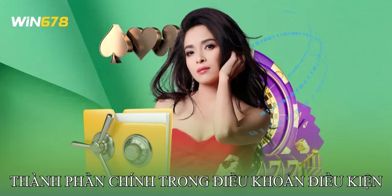 Các Thành Phần Chính Trong Điều Khoản Điều Kiện